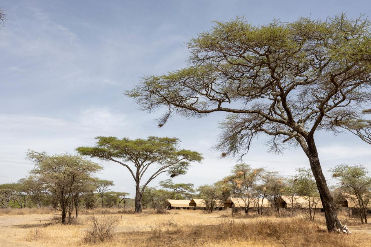 Africa Safari South Serengeti Ndutu Ngorongoro Sinoni Екстериор снимка