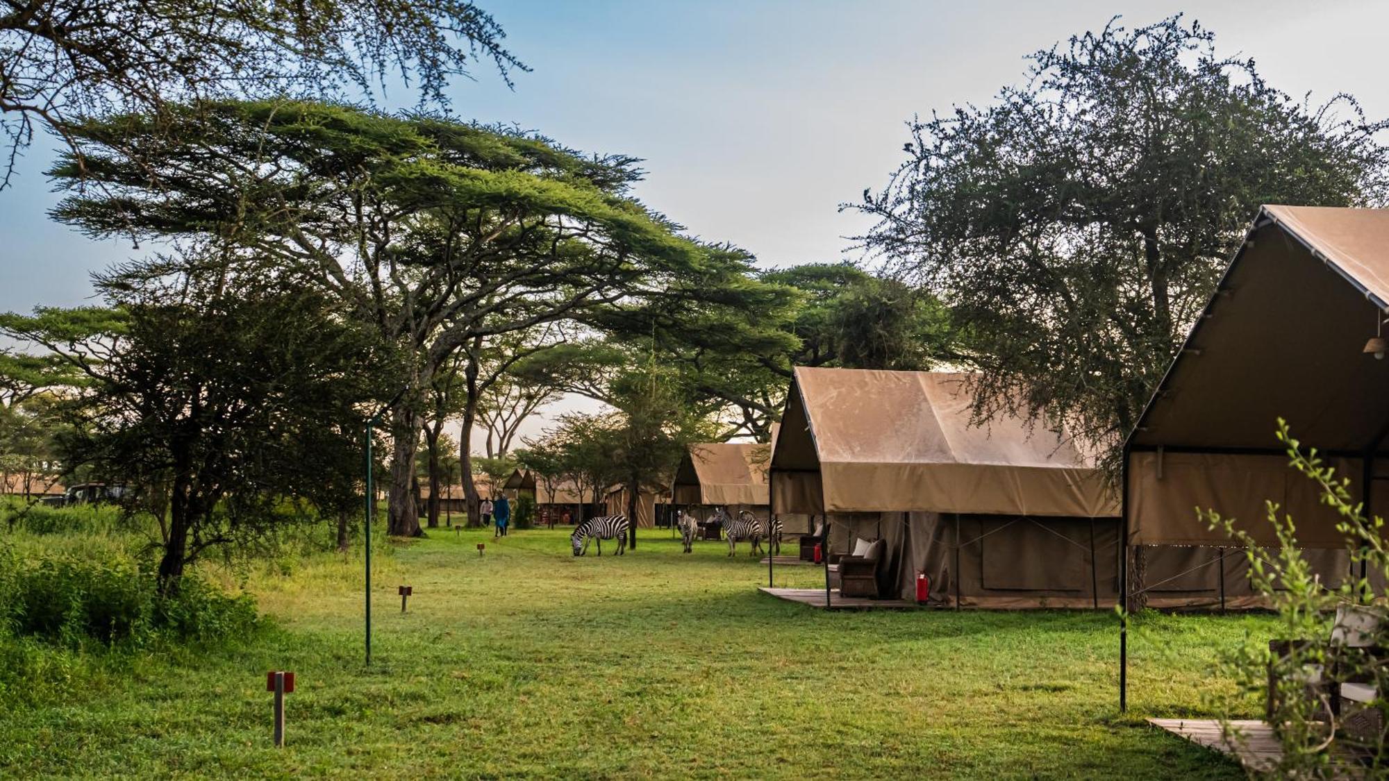 Africa Safari South Serengeti Ndutu Ngorongoro Sinoni Екстериор снимка