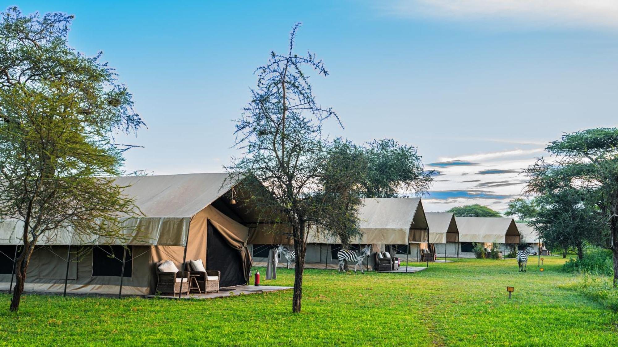 Africa Safari South Serengeti Ndutu Ngorongoro Sinoni Екстериор снимка